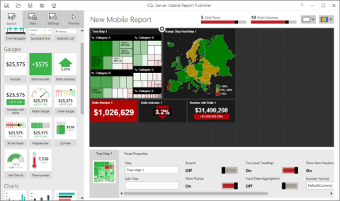 Screenshot del report per dispositivi mobili connesso ai dati locali.