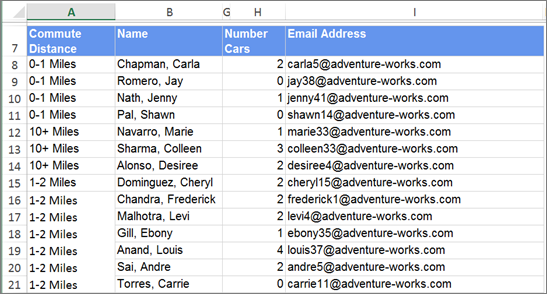 Screenshot del report esportato in Excel, reso flat.