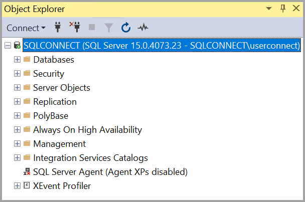 Screenshot della connessione a un server locale.