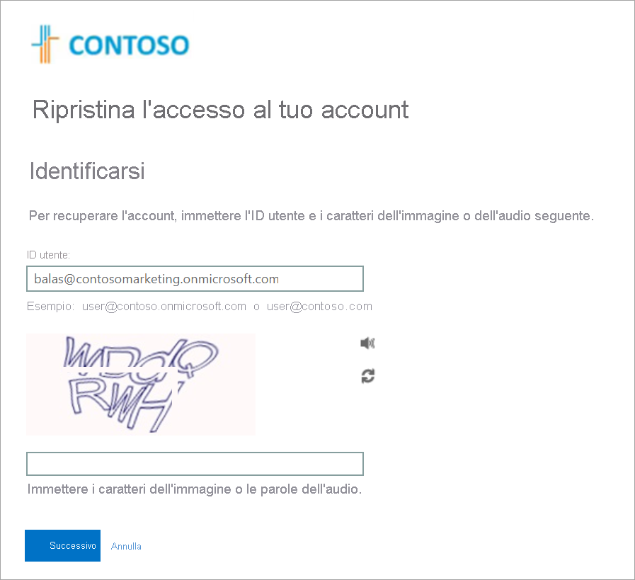 Screenshot that shows organization logo on password reset page.