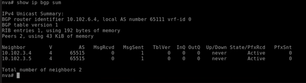 Screenshot dell'esecuzione del comando sulla macchina virtuale dell’appliance virtuale di rete. La schermata mostra il Server di route Azure come vicino BGP per l'appliance virtuale di rete.