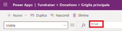 Screenshot per mostrare l'opzione di visibilità sulla formula impostata su true.