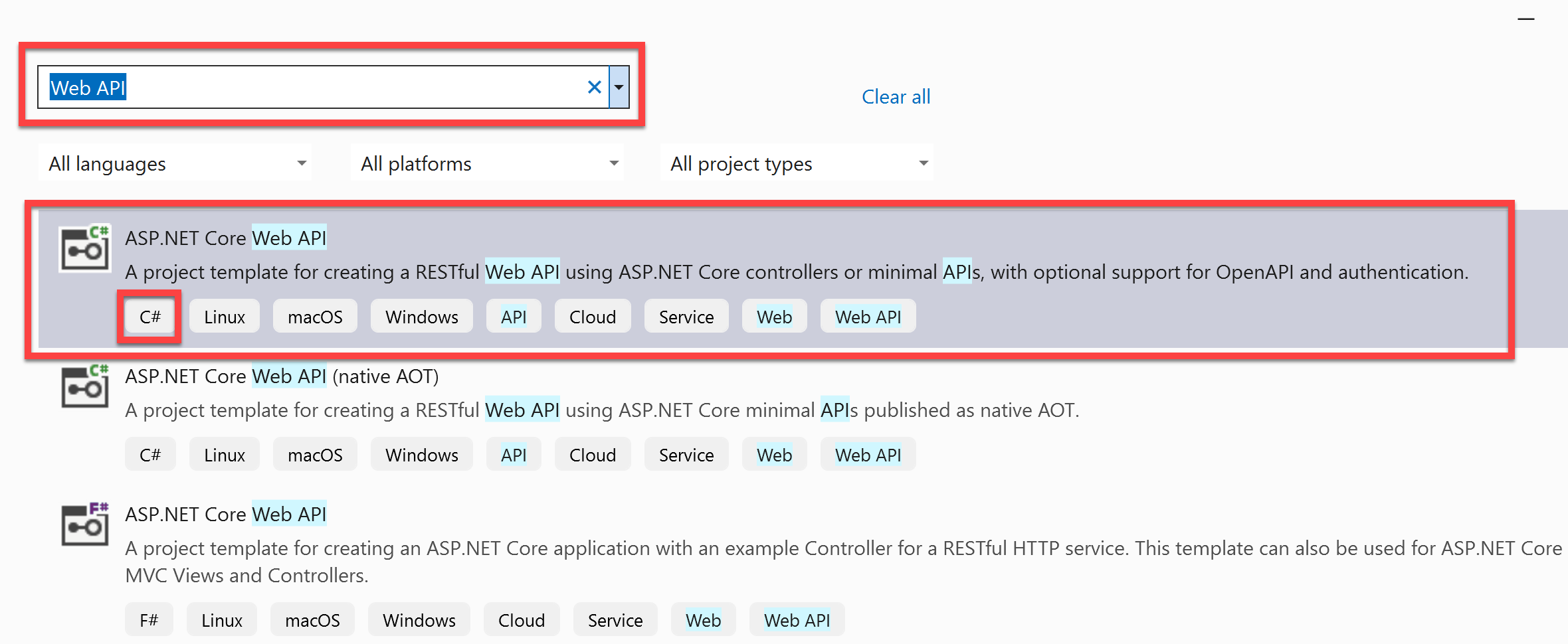 Screenshot del modello di progetto API Web Core A S P dot net.