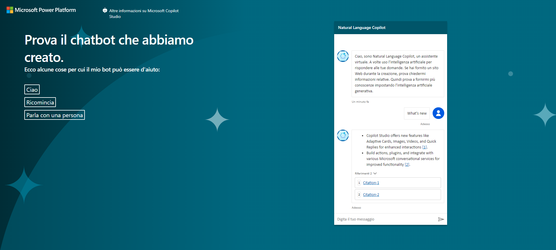 Screenshot della finestra di dialogo del sito Web demo.