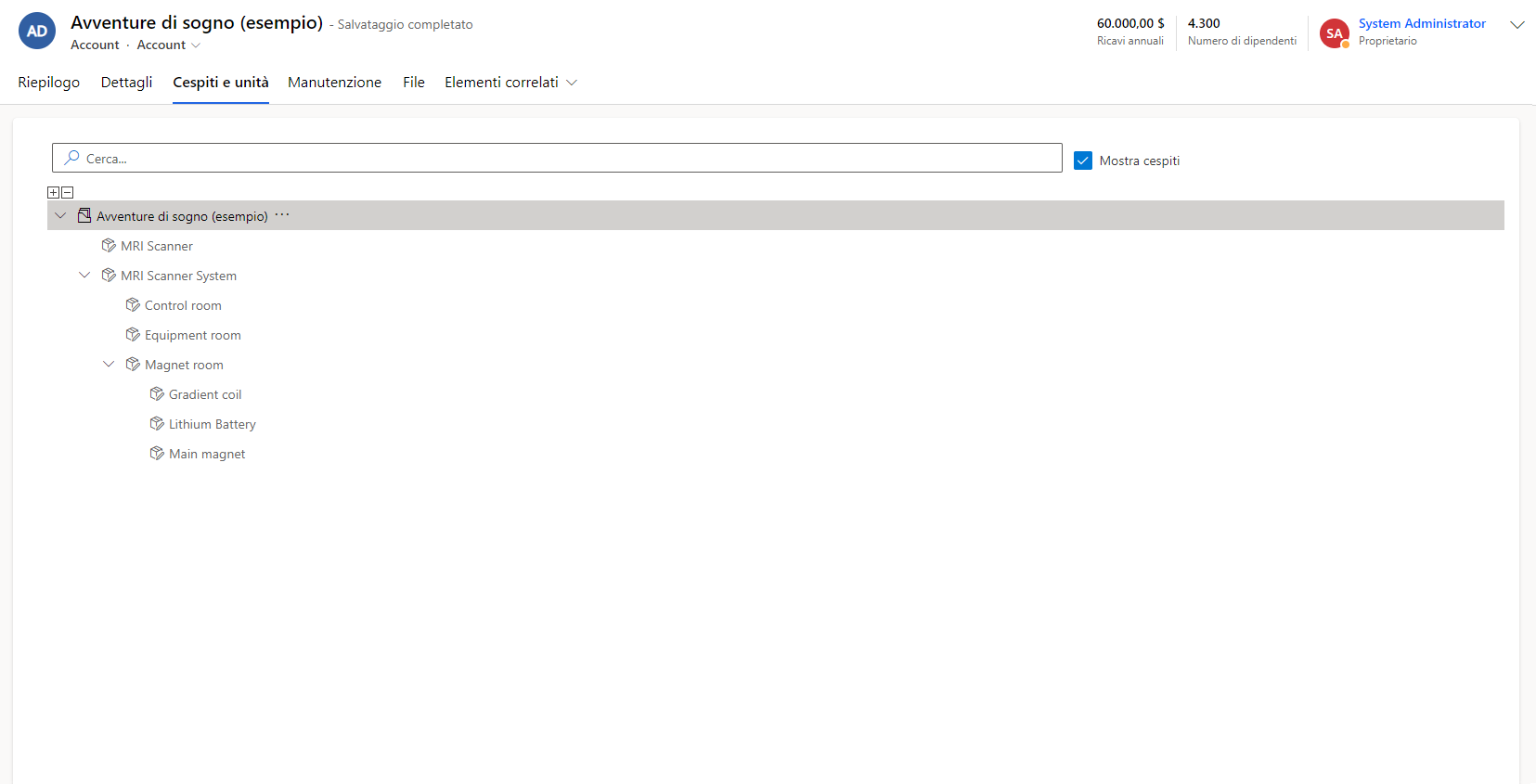 Screenshot dei cespiti cliente in un account.
