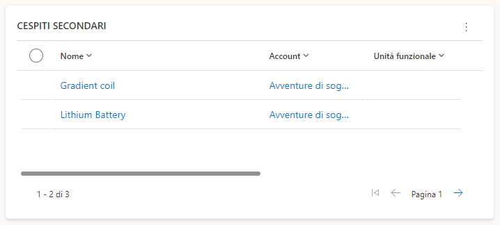 Screenshot della sezione Cespiti secondari di un cespite cliente.
