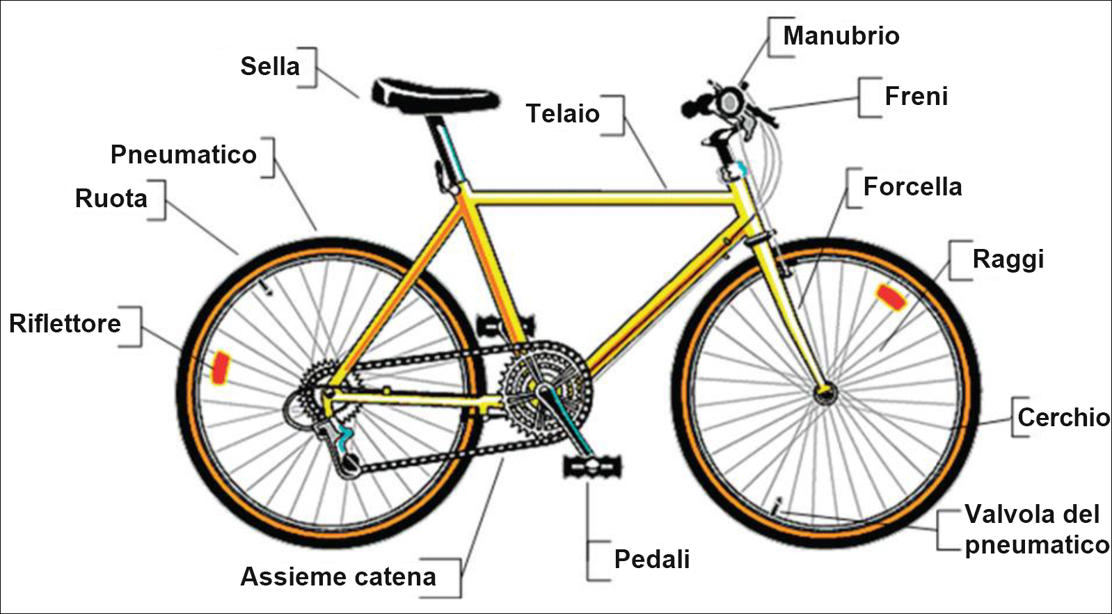 Diagramma che identifica i componenti di una bicicletta.
