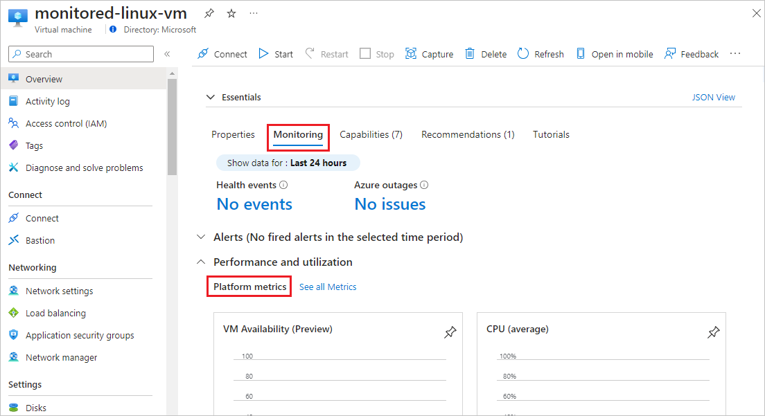 Screenshot che mostra la scheda Monitoraggio nella schermata Panoramica delle VM.