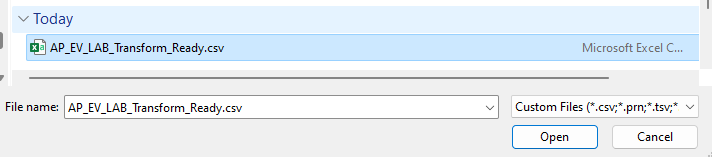 Screenshot del file CSV selezionato.