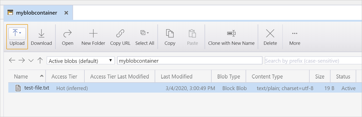 Screenshot che mostra il file nell'account di archiviazione.