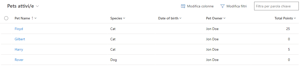 Screenshot della vista di tabella con filtro e ricerca.