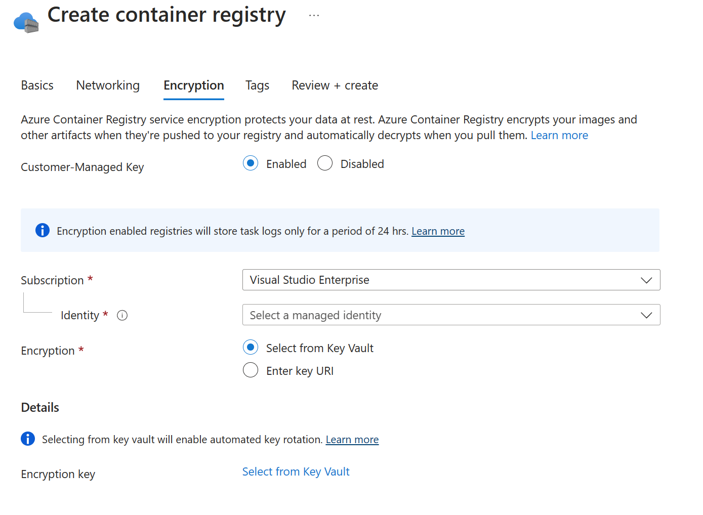 Screenshot che mostra le opzioni della scheda Crittografia usate per creare un'istanza del Registro Container.