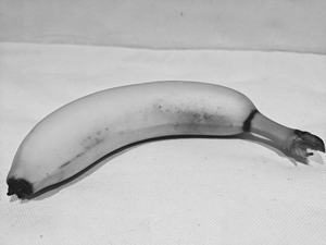 Diagram of a banana.