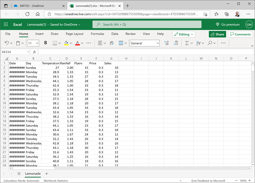 Screenshot of Lemonade workbook in Excel.