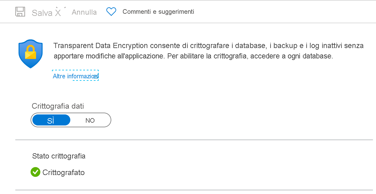Screenshot che mostra le impostazioni di Transparent Data Encryption per un database SQL di Azure.