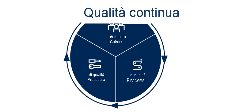 Diagram shows that Continuous Quality includes a quality culture, quality processes, and quality practice.