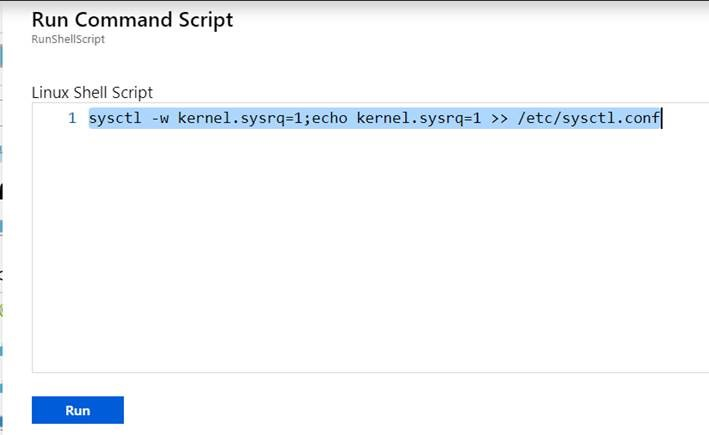 Screenshot della finestra RunShellScript quando si inserisce il comando.