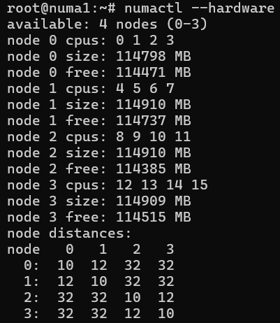 Screenshot dell'output numactl.