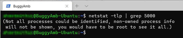 Screenshot del comando netstat.
