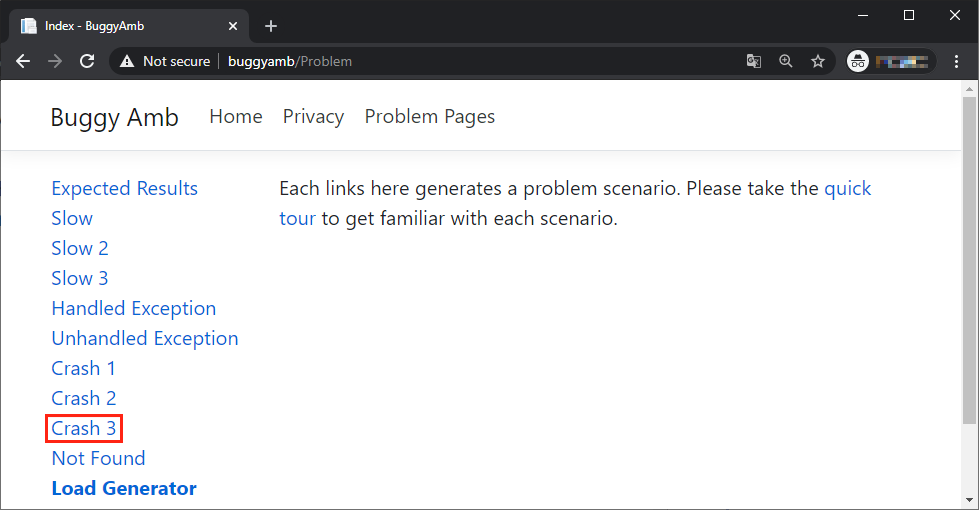 Screenshot delle informazioni sull'arresto anomalo del sito Web.