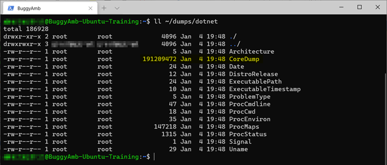 Screenshot del comando dump.