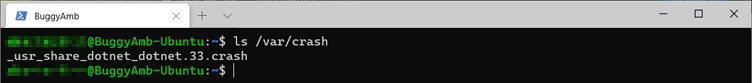 Screenshot delle informazioni varcrash.