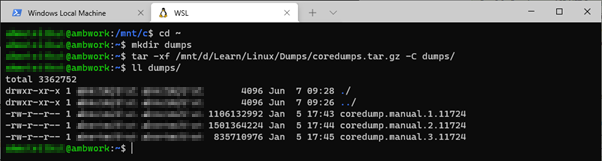 Usare WSL per aprire i dump di core in un altro computer - ASP.NET Core