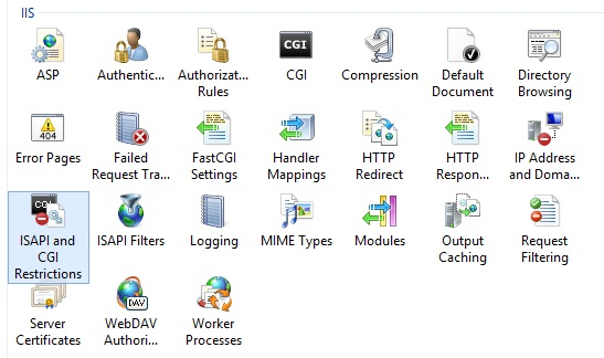 Screenshot del riquadro I I S Manager che mostra le restrizioni I S A P I e C G I selezionate.
