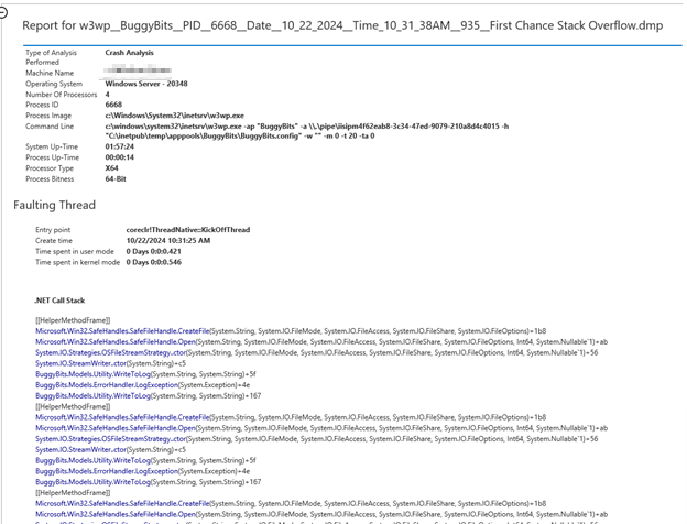 Screenshot di un dettaglio del report degli errori di overflow dello stack.