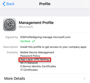 Screenshot che mostra che Il profilo di gestione ha il profilo VPN.