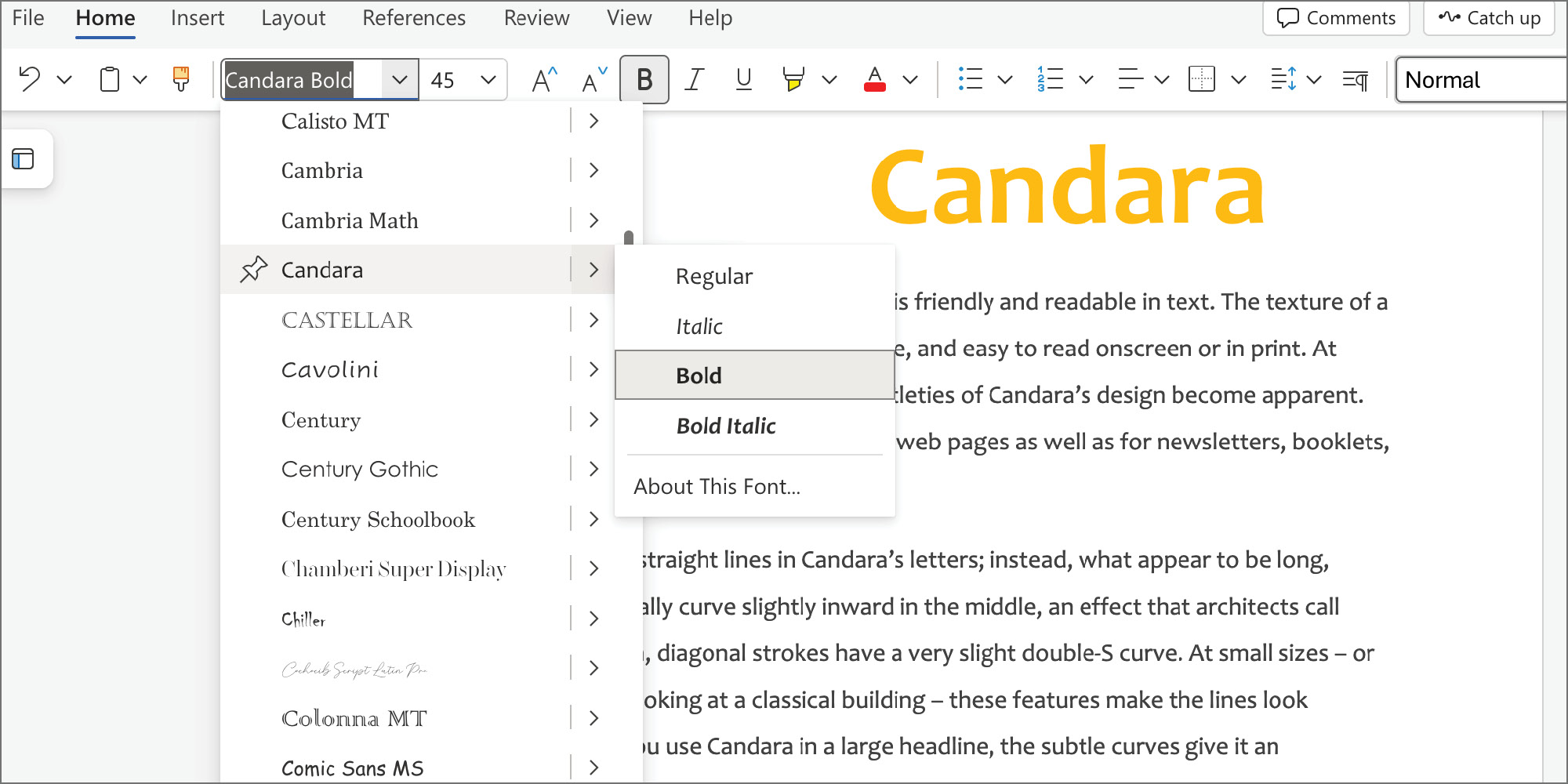 Candara Poster 5