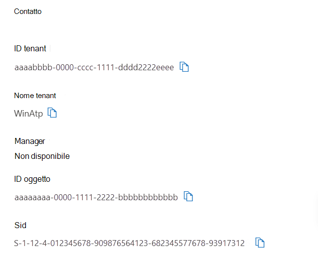 Screenshot dei dettagli del tenant sull'identità.