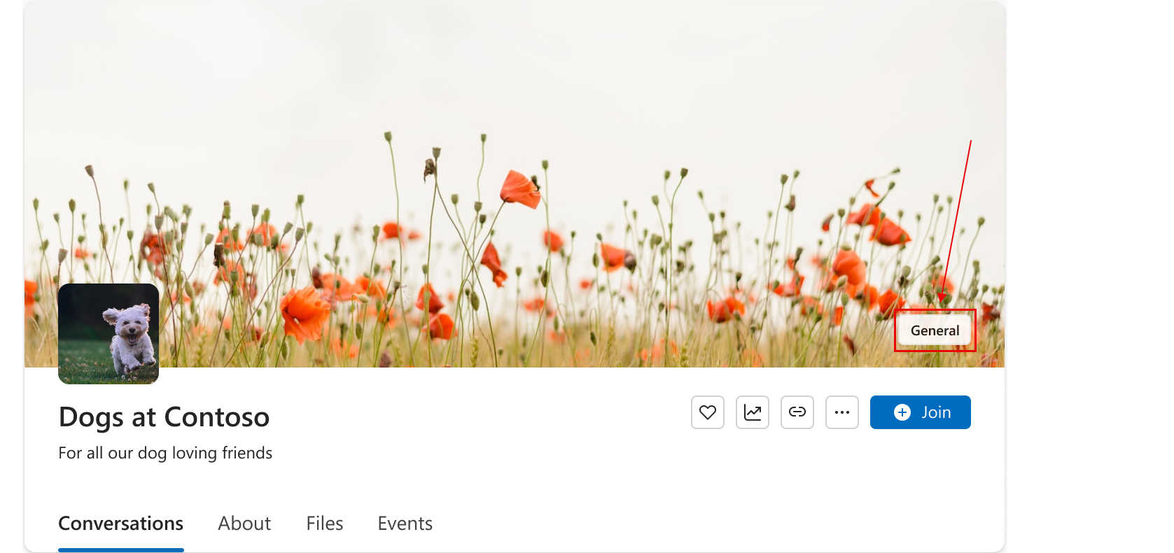 Screenshot che mostra l'etichetta di riservatezza visibile agli utenti nell'intestazione della community.