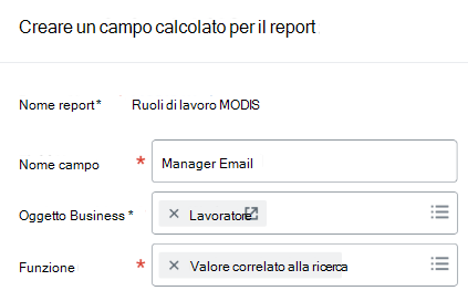 Screenshot che mostra i dettagli del campo calcolato. 