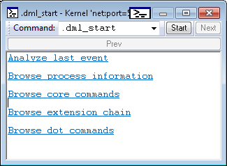 Screenshot dell'output dml-start predefinito.