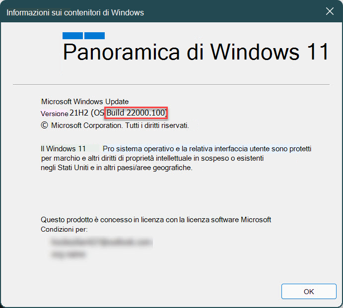 Il modulo Informazioni su Windows che viene visualizzato dall'esecuzione del comando winver, evidenziando la Build 22000.100 in cui si trova il dispositivo.