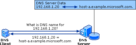 Diagramma che mostra una query inversa avviata da un client DNS per apprendere il nome di un altro host in base al relativo indirizzo IP.
