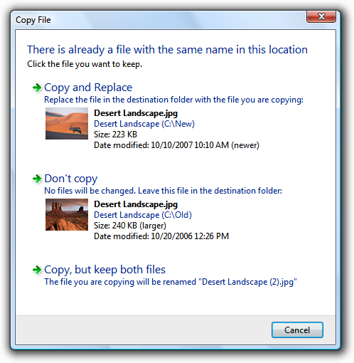 screenshot della finestra di dialogo copia file e delle anteprime 
