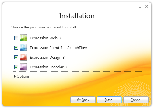 Screenshot che mostra una finestra di dialogo di installazione con quattro opzioni.