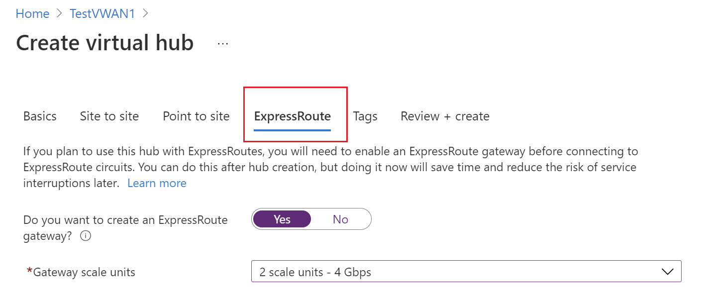 スクリーンショットには、値を入力できる [ExpressRoute] タブが表示されています。