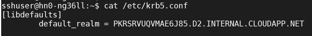 Hive Warehouse Connector の AAD ドメインのスクリーンショット。