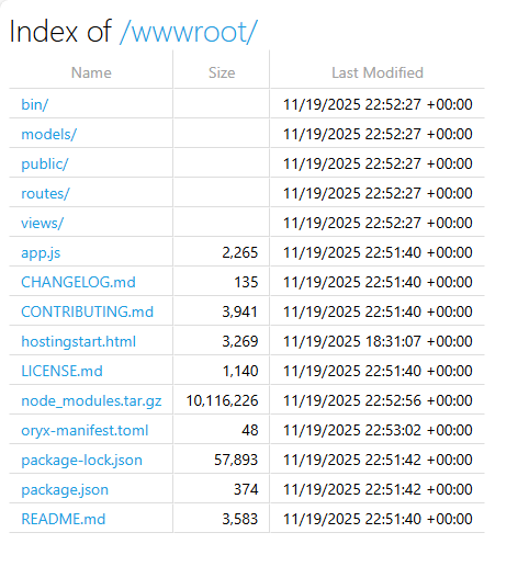 wwwroot ディレクトリにデプロイされたファイルのスクリーンショット。