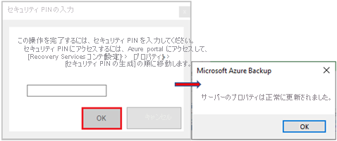 Screenshot shows how to paste the security PIN.