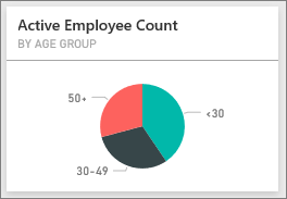 [年齢グループ別のアクティブな従業員数] タイルを示すスクリーンショット。