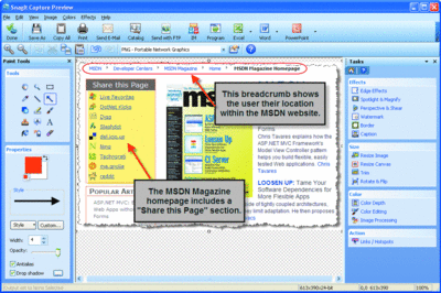 mitchell.toolbox.snagit.gif