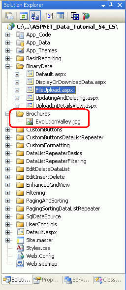 EvolutionValley.jpg が ~/Brochures フォルダーに保存されました