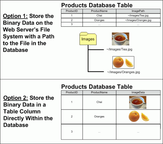 バイナリ データは、ファイル システムに格納することも、データベースに直接格納することもできます