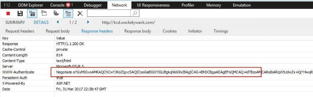 Browser network inspection window