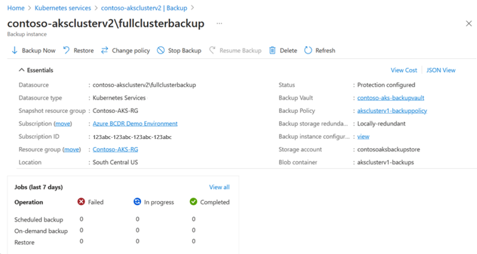 Screenshot that shows the backup instance details.