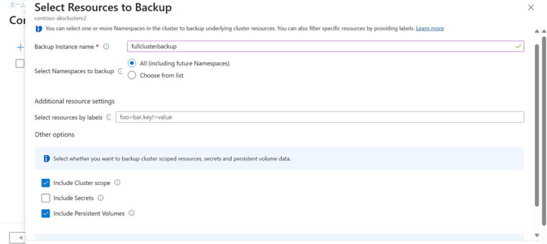 Screenshot that shows how to define the cluster resources for backup.